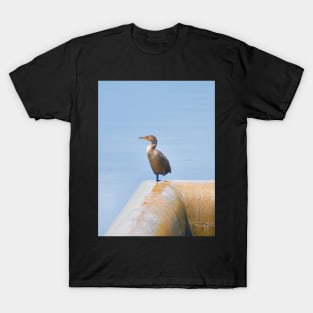 Double-Crested Cormorant II T-Shirt